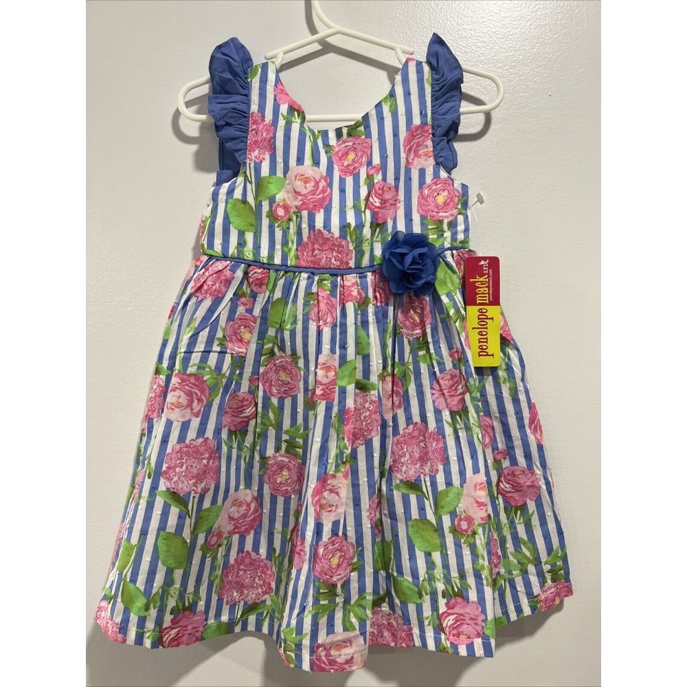 Baby girls Penelope Mack Size 24 Months Dress Flowers Blue